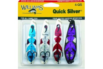 WILLIAMS Pack Kit Quick Silver 4-QS