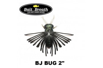 Bug 2"