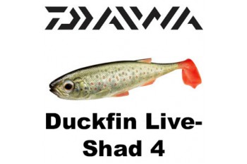 Duckfin Live Shad 4"