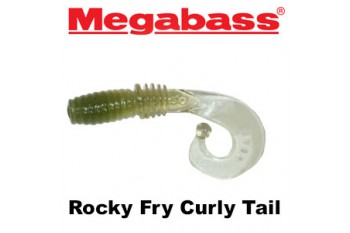 Rocky Fry Curly Tail