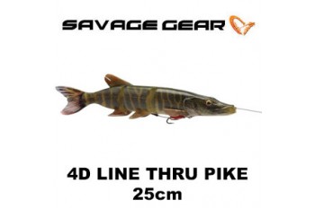 4D Line Thru Pike 25cm