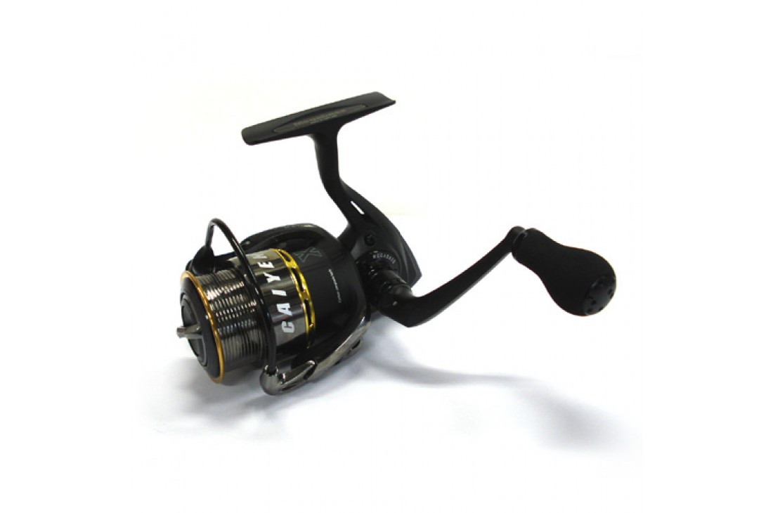 MEGABASS Caiyen 256