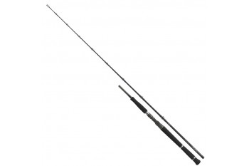 Daiwa Pro Staff Casting 1.90m 180g