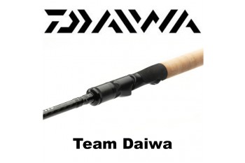 Team Daiwa