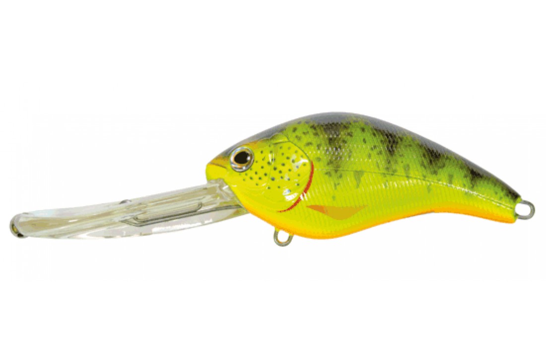 PANACEA Marauder Fat 90F-DR T005