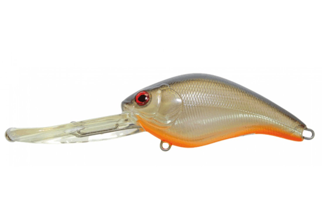 PANACEA Marauder Fat 80F-DR T007