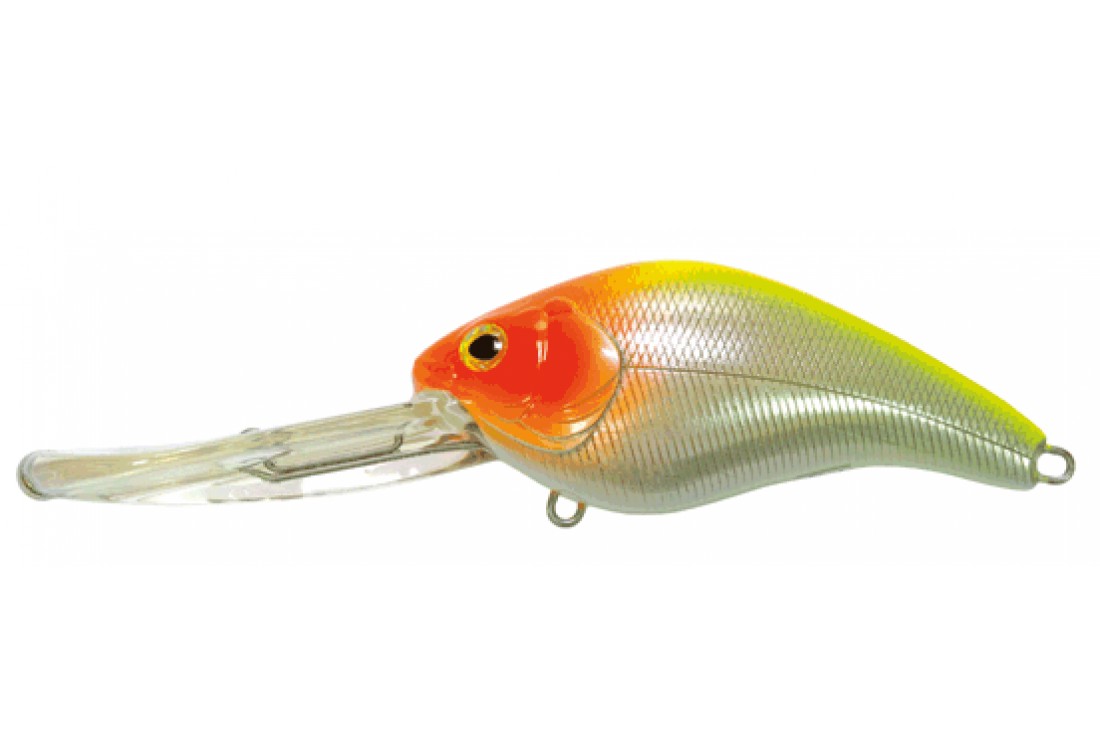 PANACEA Marauder Fat 80F-DR T008