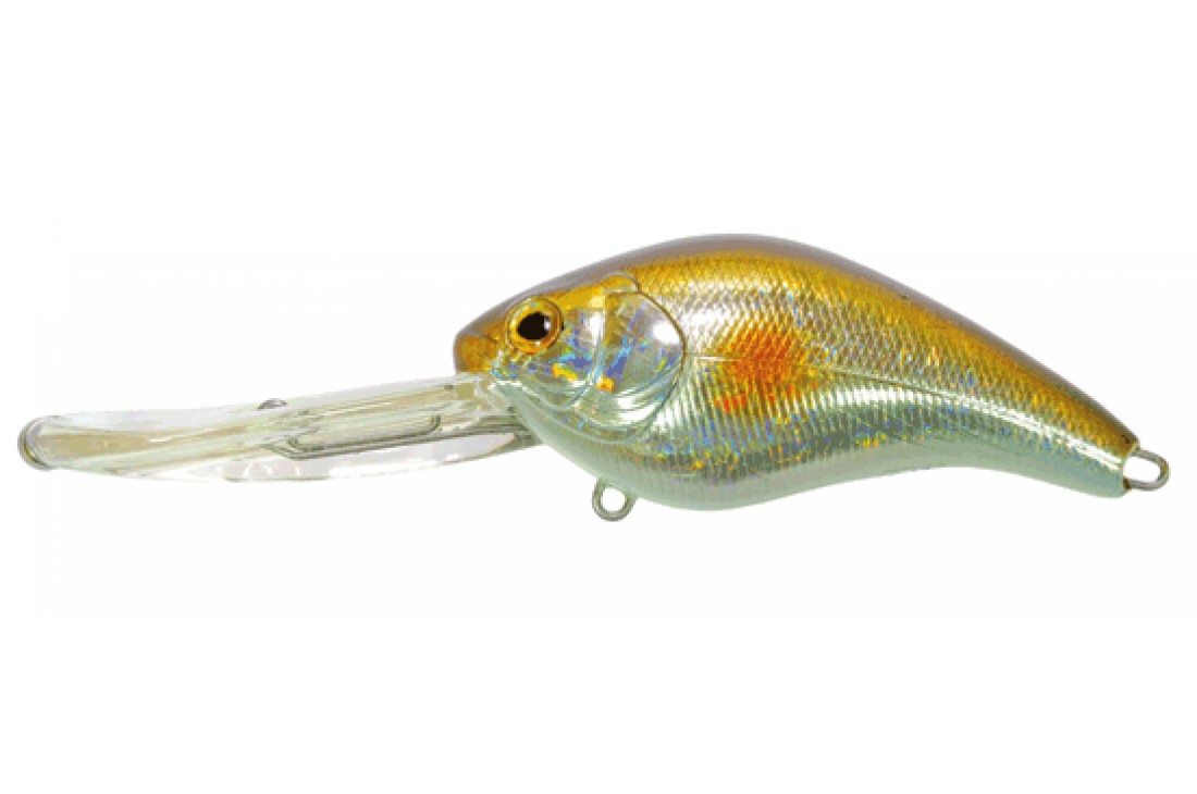 PANACEA Marauder Fat 80F-DR T012