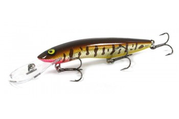 HALCO Sorcerer 125 DD R31