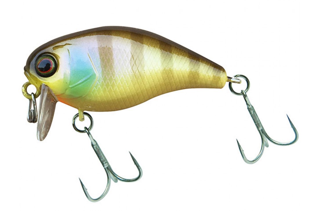 JACKALL Chubby SSR 38F Noike Gill 