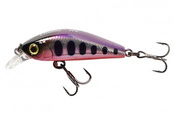JACKALL Chubby Minnow 35SP Purple Silver Yamame Red Belly