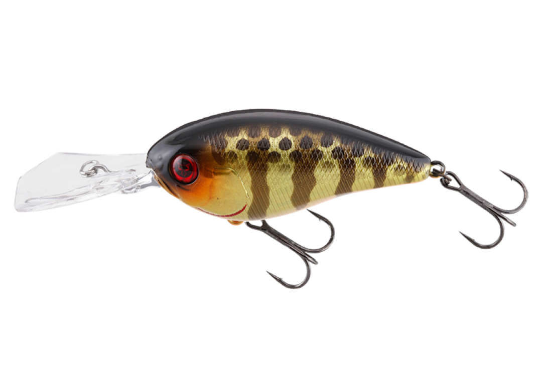 Jackall Digle 2+ Sk Champagne Gold Gill