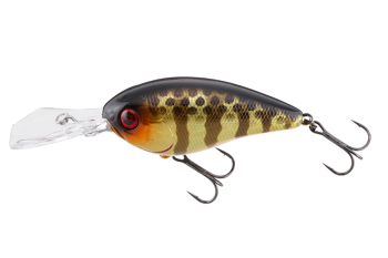 Jackall Digle 2+ Sk Champagne Gold Gill