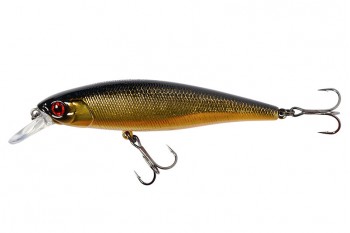 JACKALL Squad Minnow 80SP HL Gold & Black