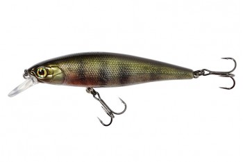 JACKALL Squad Minnow 80SP RT Perch 