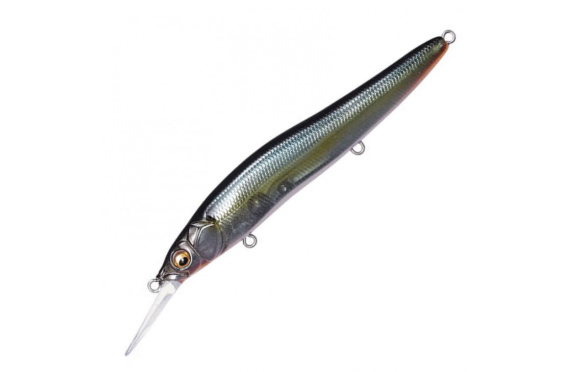 Megabass Oneten R+1 Jukucho Shad