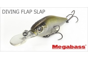 Diving Flap Slap