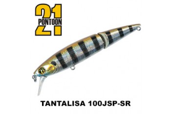 Tantalisa 100JSP-SR