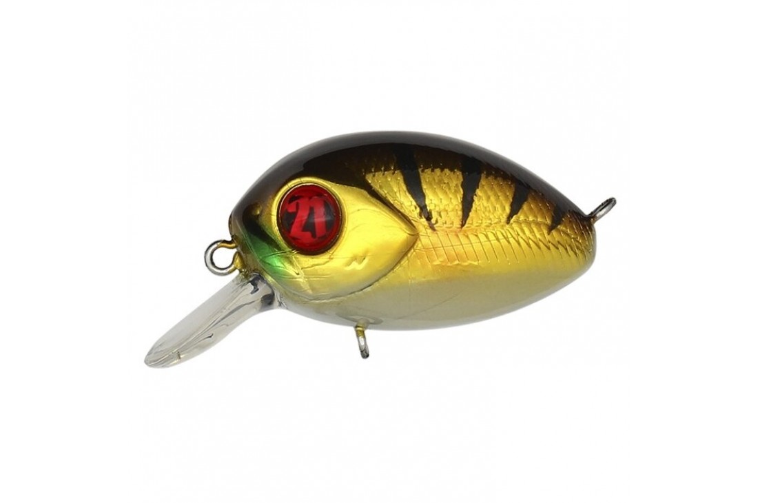 PONTOON21 Baby Red Rag 32F-SR 307 Crash HG Gold Perch