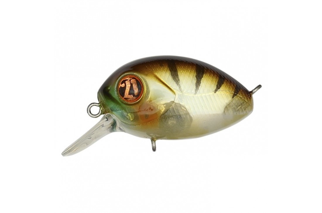 PONTOON21 Baby Red Rag 32F-SR 807 MI Perch