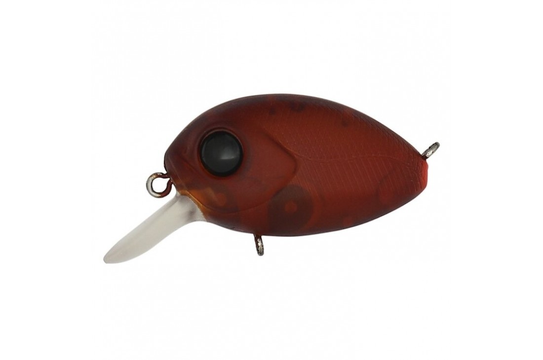 PONTOON21 Baby Red Rag 32F-SR R42 Ghost BOH