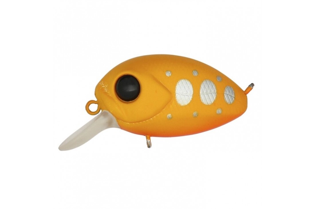 PONTOON21 Baby Red Rag 32F-SR R43 Mustard Yamame