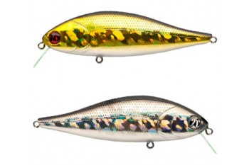 PONTOON21 Bet A Shiner 82SP-SR 222 Doulet 2