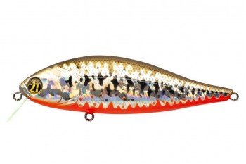 PONTOON21 Bet A Shiner 82SP-SR R53 CHG Bass OB.