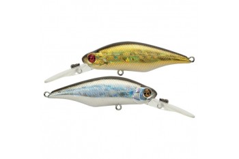 PONTOON21 Chaos 72F-DR 222 Doublet 2