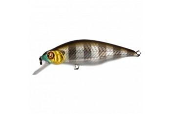 PONTOON21 Chaos 72F-SR 007
