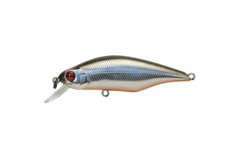 PONTOON21 Chaos 72F-SR 051