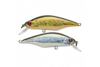 PONTOON21 Chaos 72F-SR 222 Doublet 2