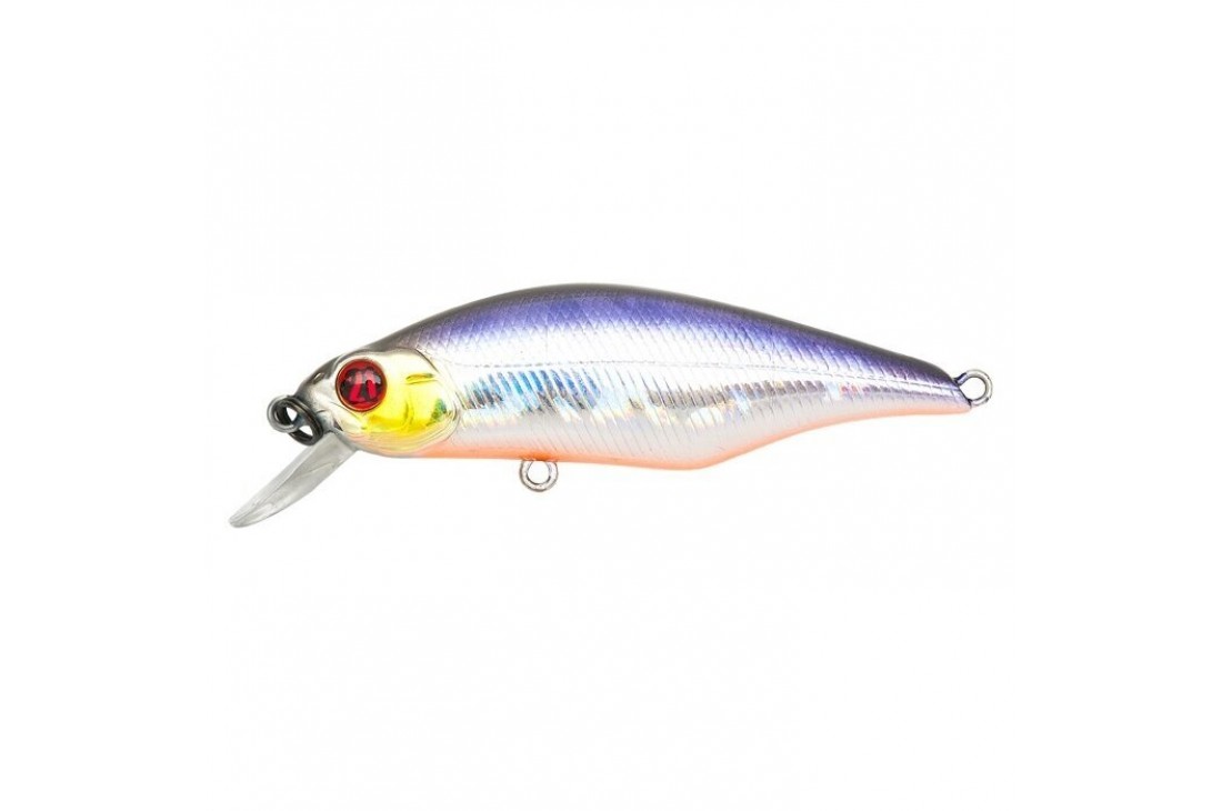 PONTOON21 Chaos 72F-SR A12 BV Back OB RE