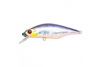 PONTOON21 Chaos 72F-SR A12 BV Back OB RE