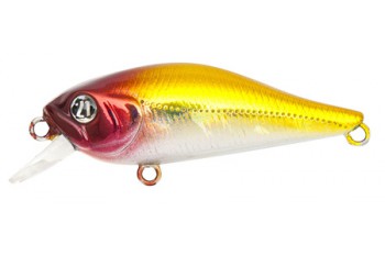 PONTOON21 Cheerful 60SP-SR A15 Gold Back Red Head