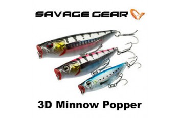 3D Minnow Popper