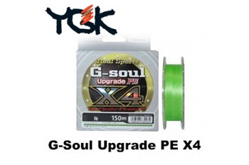 G-Soul Upgrade PE X4