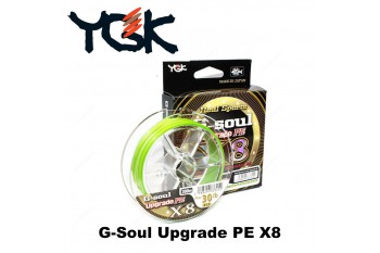 G-Soul Upgrade PE X8